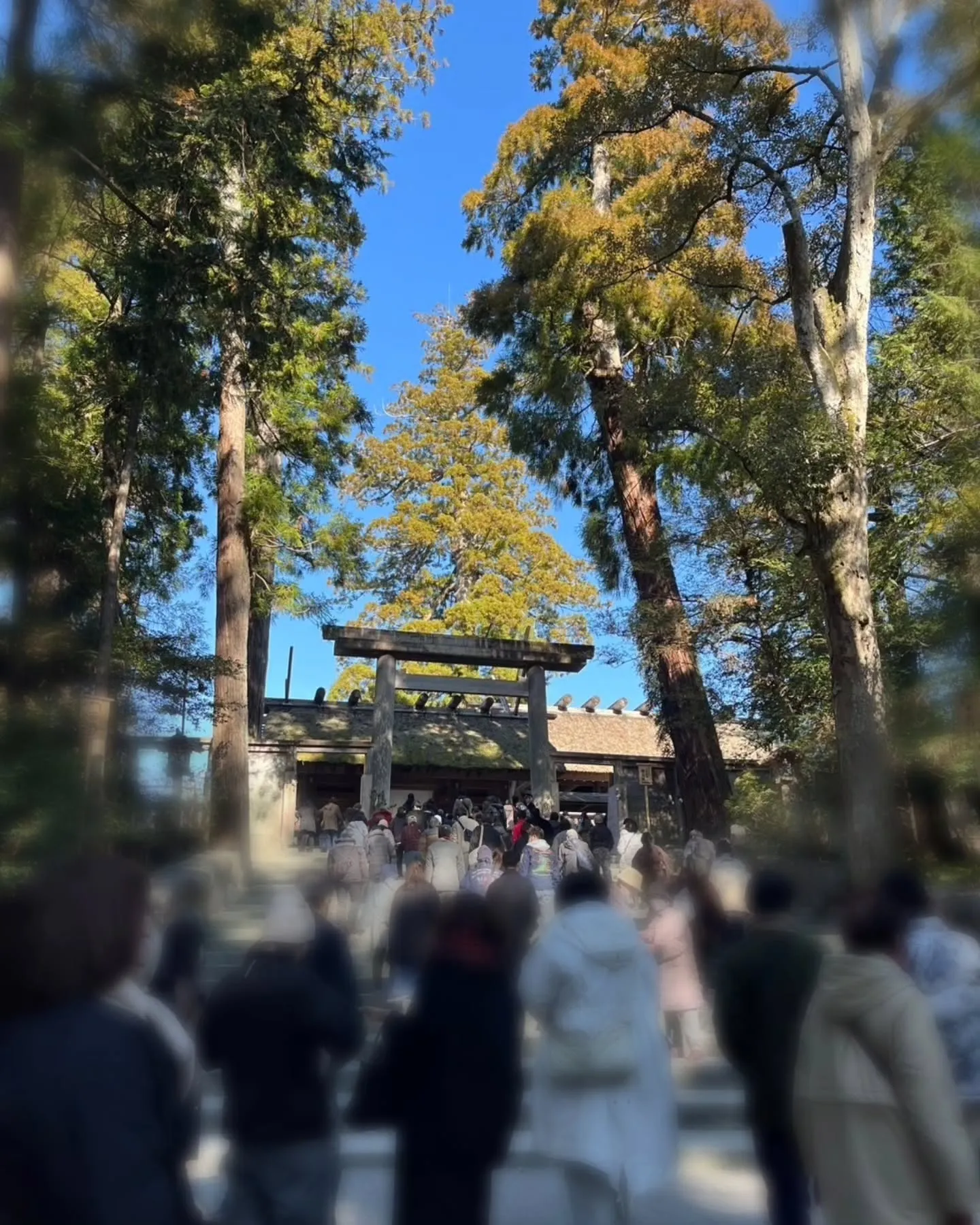 伊勢神宮へ参拝へ行かせていただきました🙏