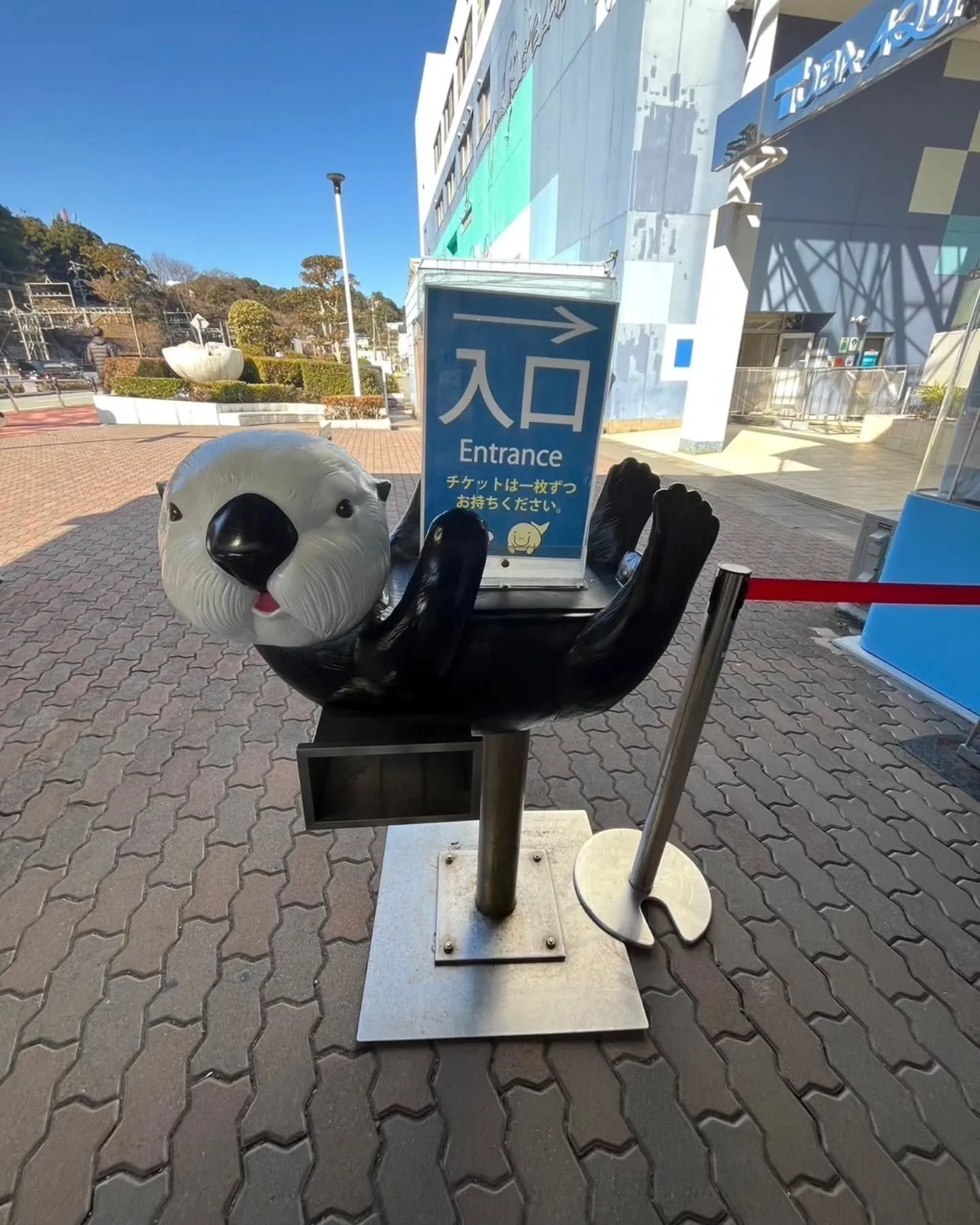 おみやげセンターの後、鳥羽水族館に行きました🐠