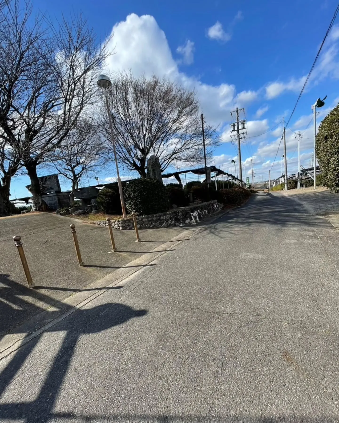 西尾といえば抹茶が有名ですが、こちらの公園は茶畑が一望出来ま...