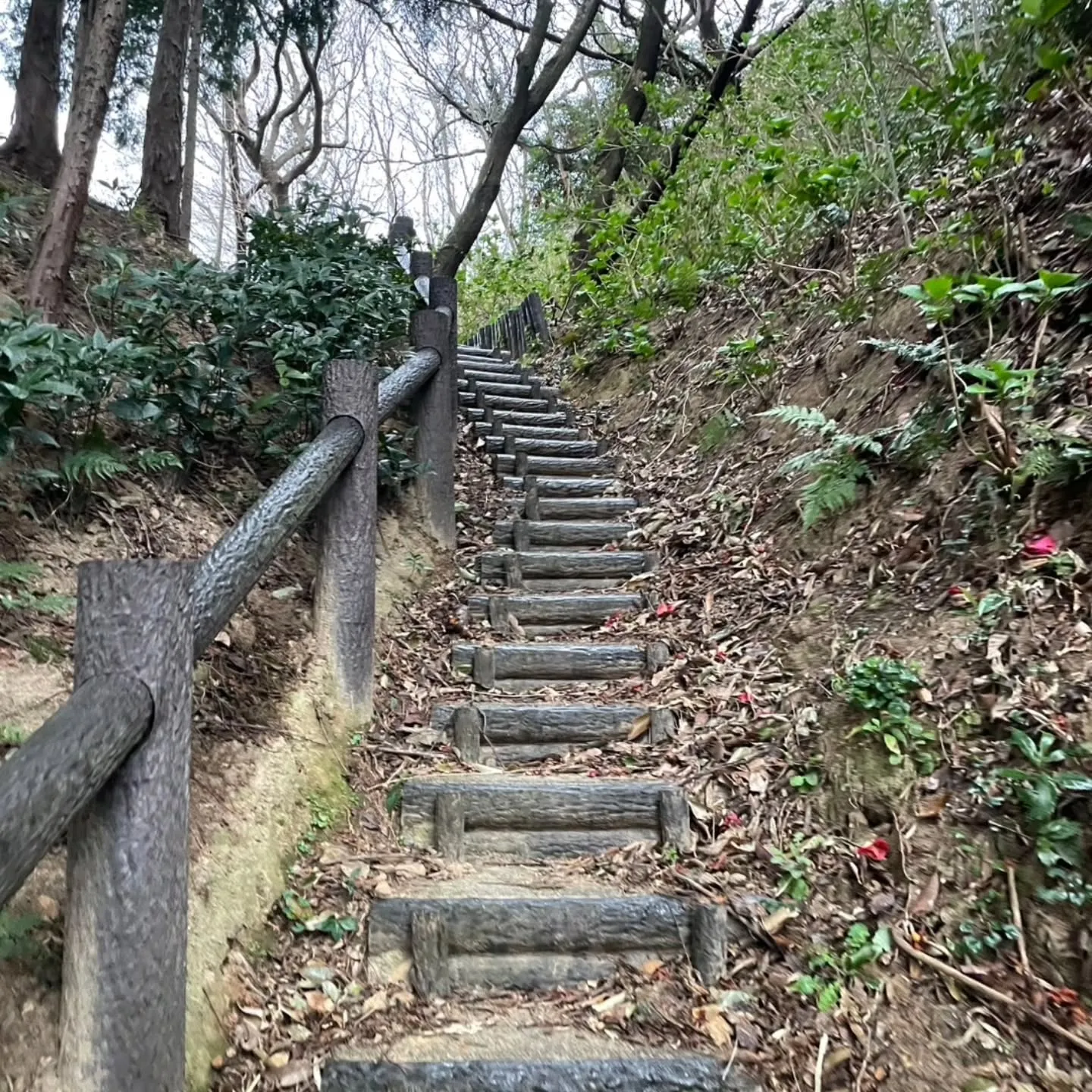 西尾市散策の旅☆