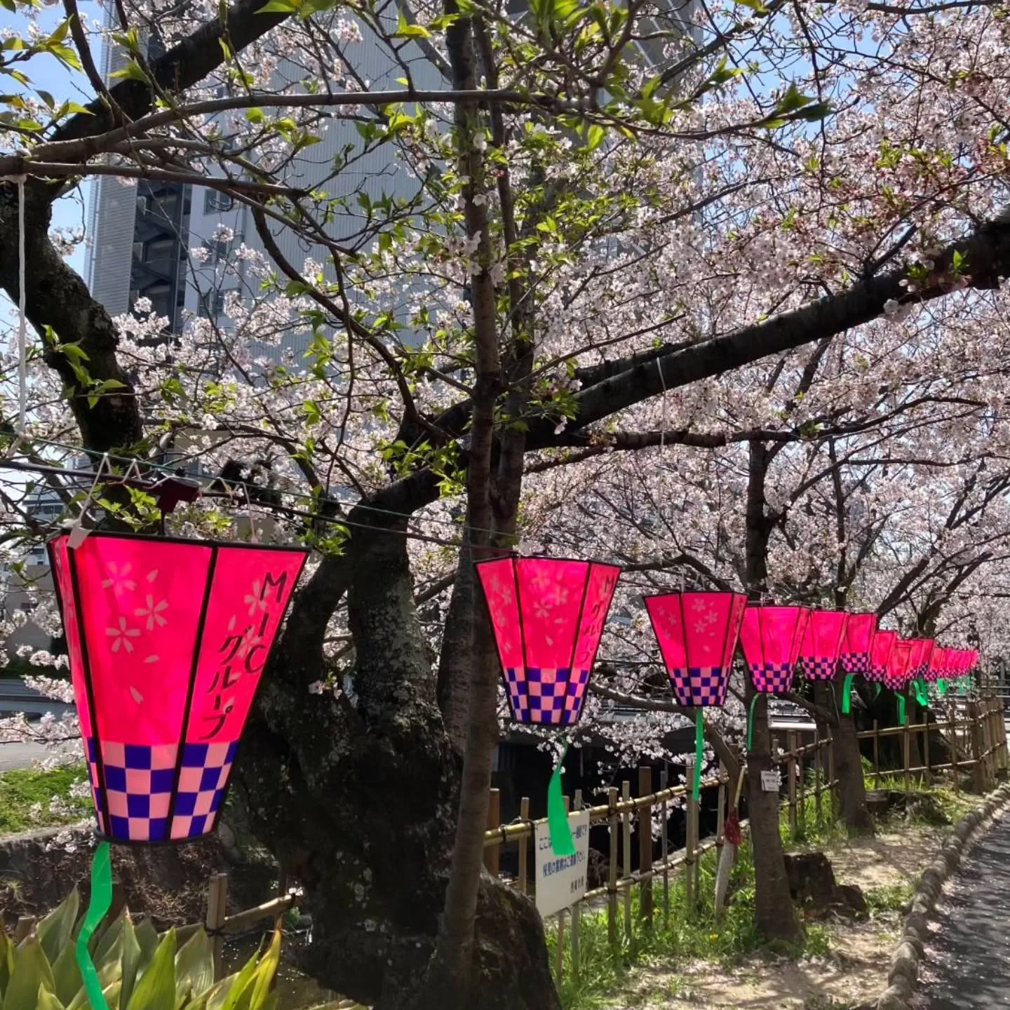 西尾市散策の旅☆