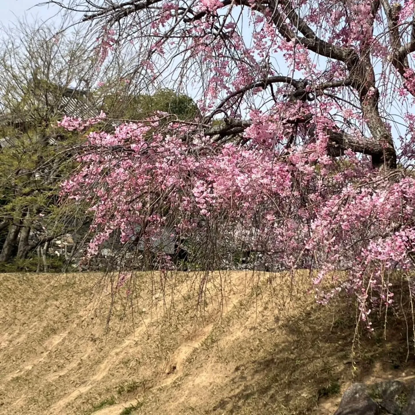 西尾市散策の旅☆