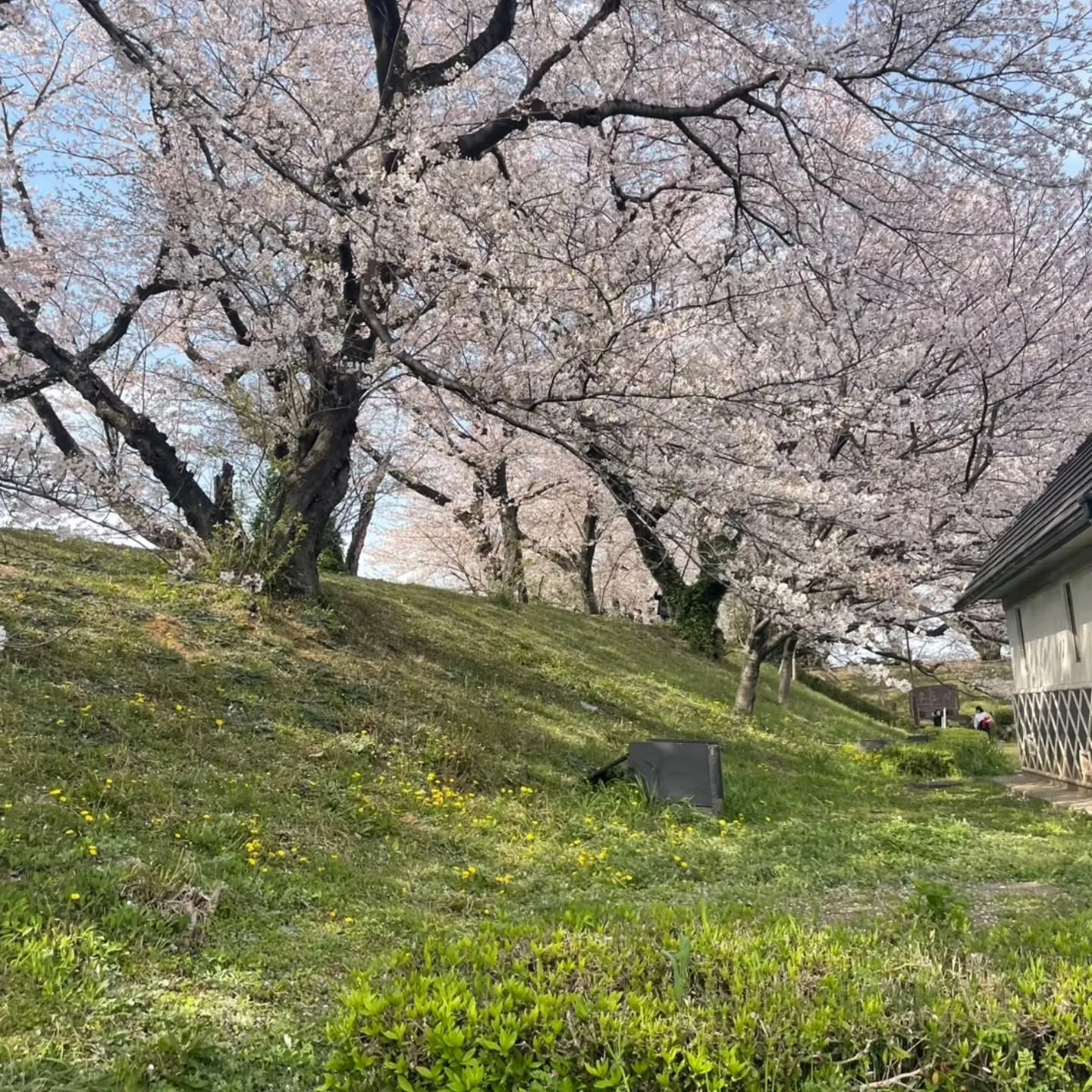 西尾市散策の旅☆