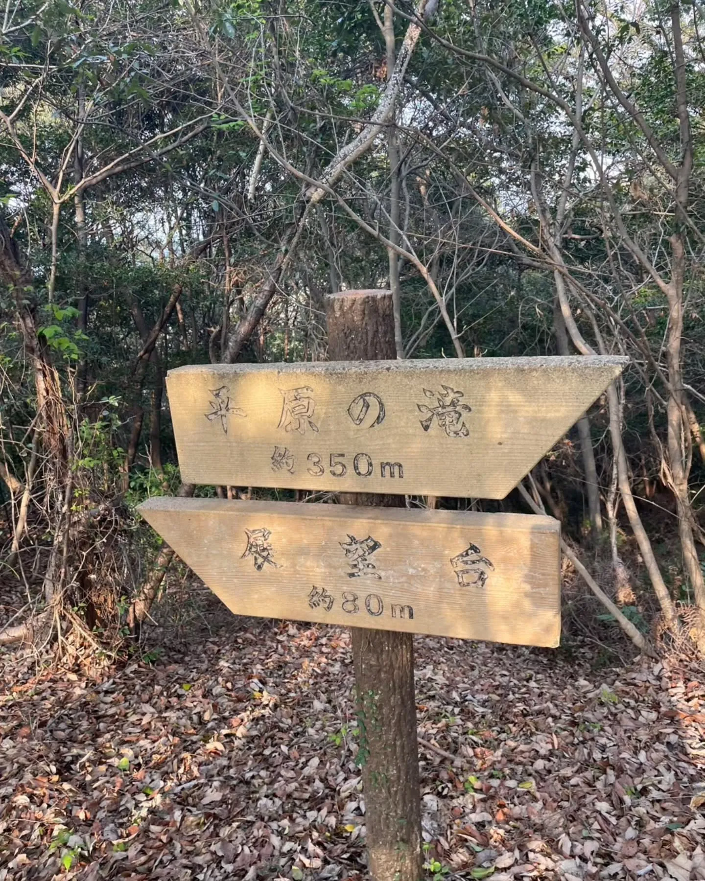 西尾散策の旅☆