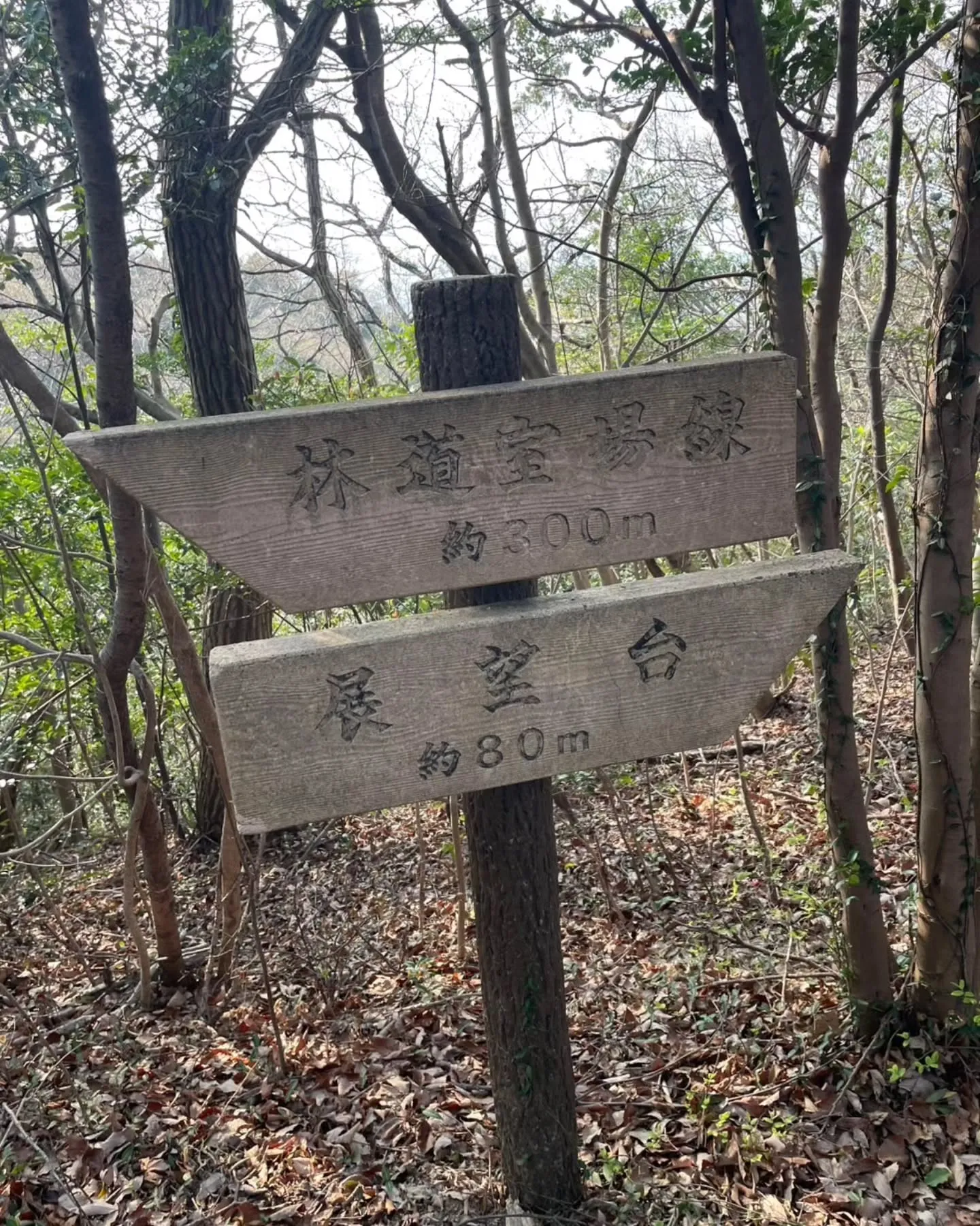 西尾散策の旅☆