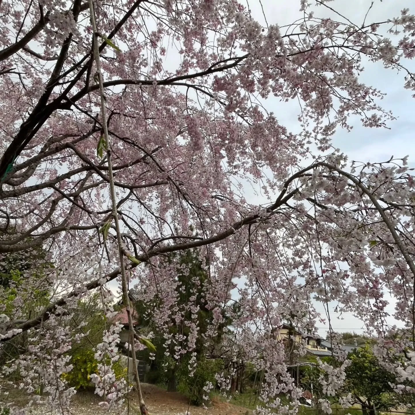 西尾市散策の旅☆
