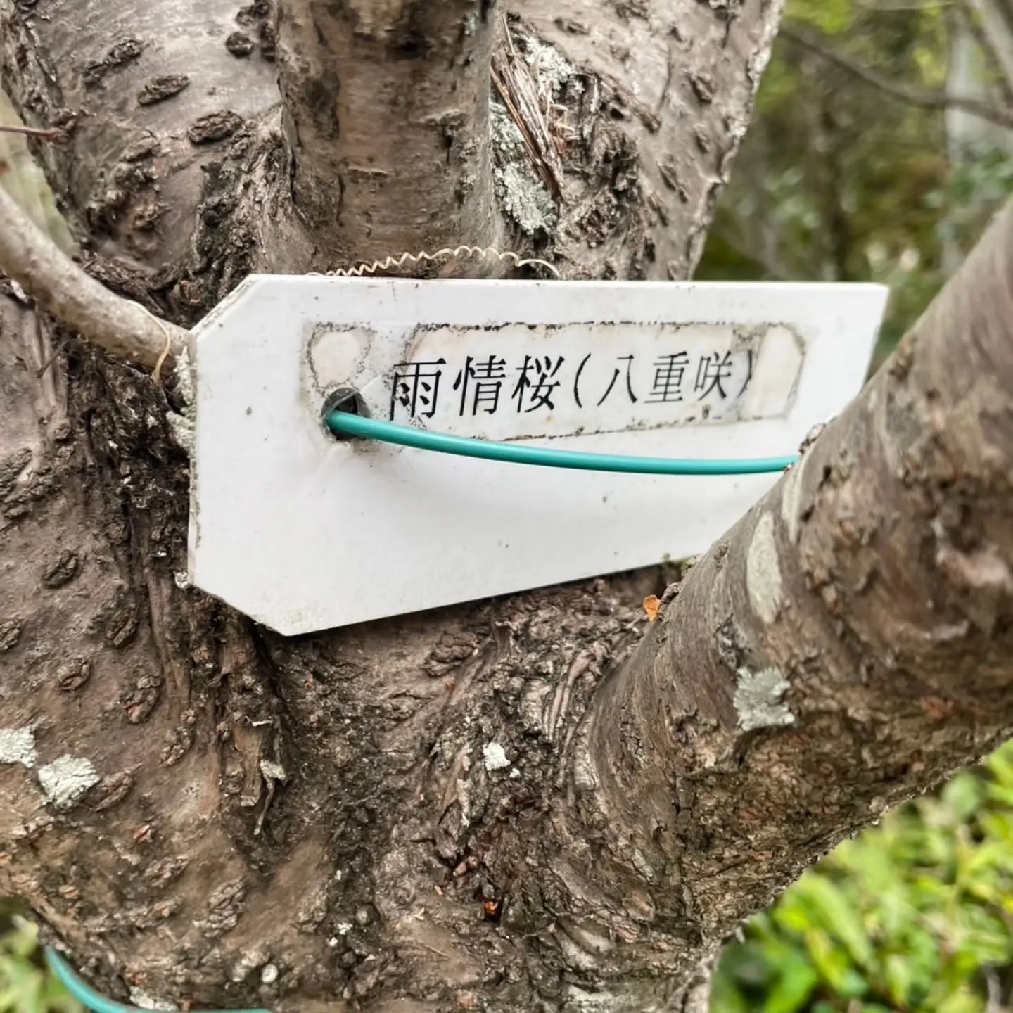 西尾市散策の旅☆