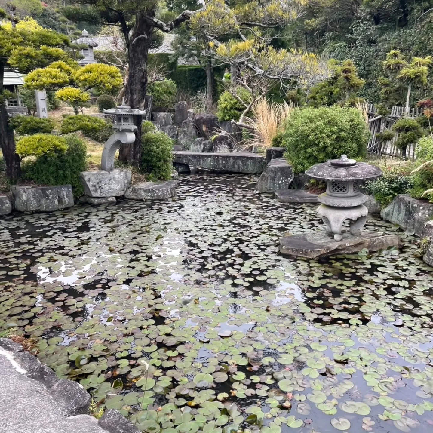 西尾市散策の旅☆