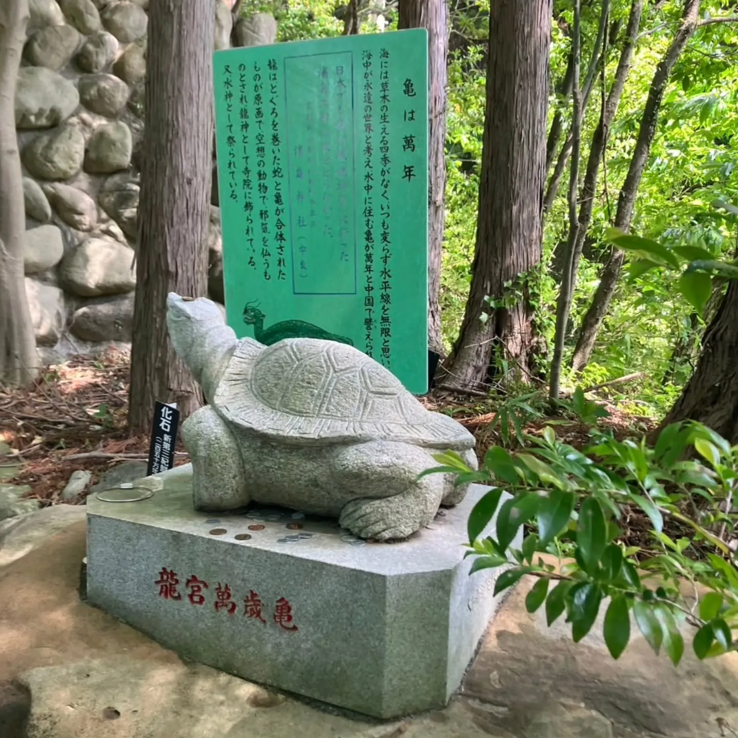 静岡県島田市の大井川に架かる蓬莱橋へ🌉