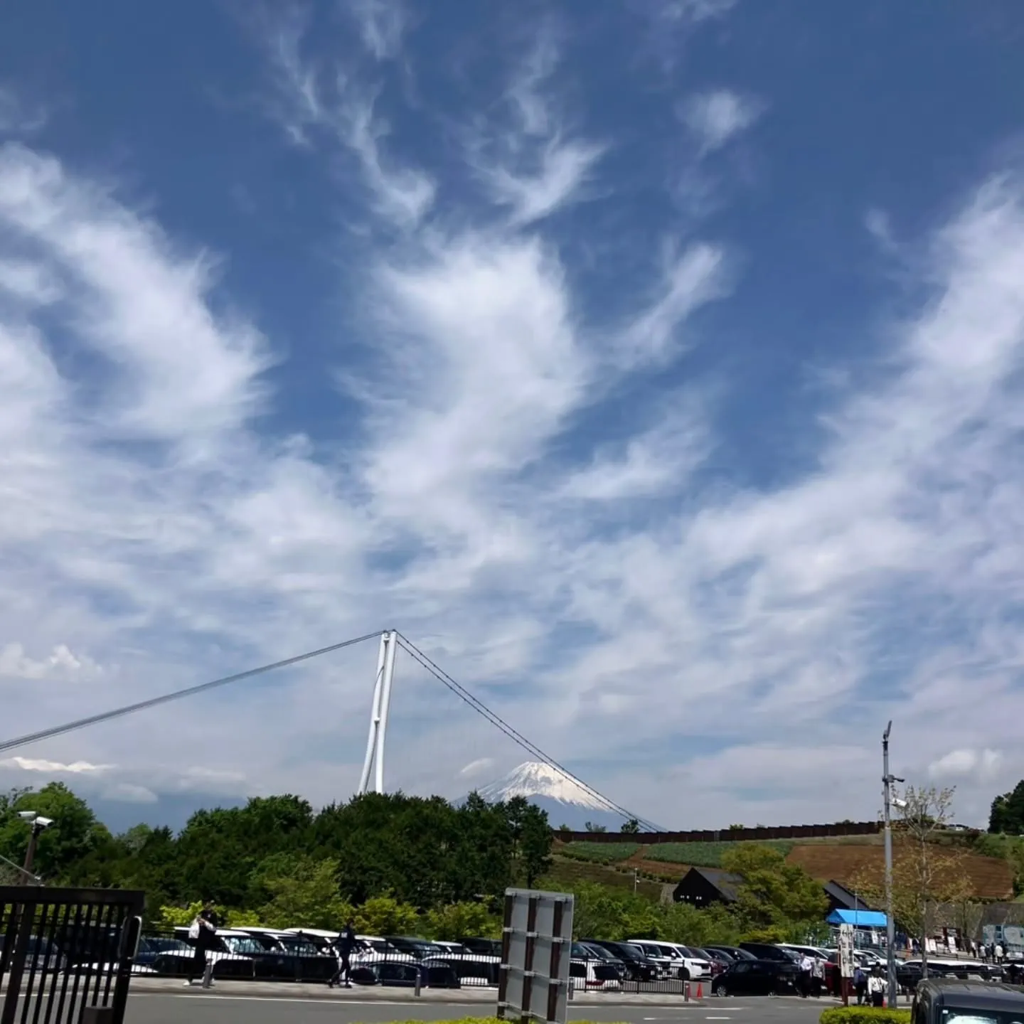 蓬莱橋からの、三島スカイウォークへ🌉