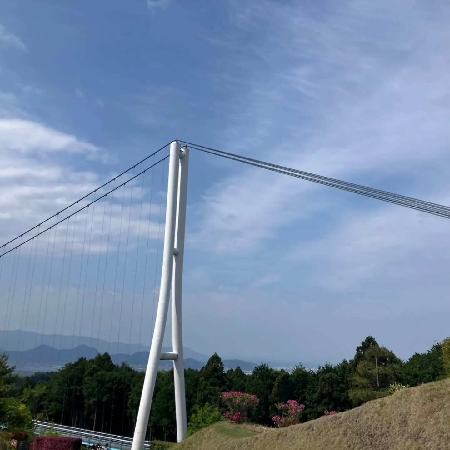 蓬莱橋からの、三島スカイウォークへ🌉