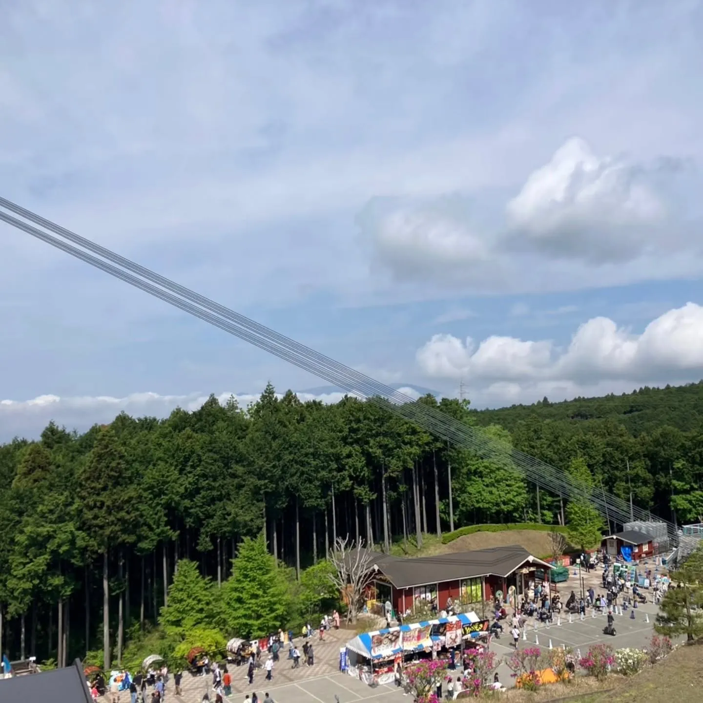 蓬莱橋からの、三島スカイウォークへ🌉