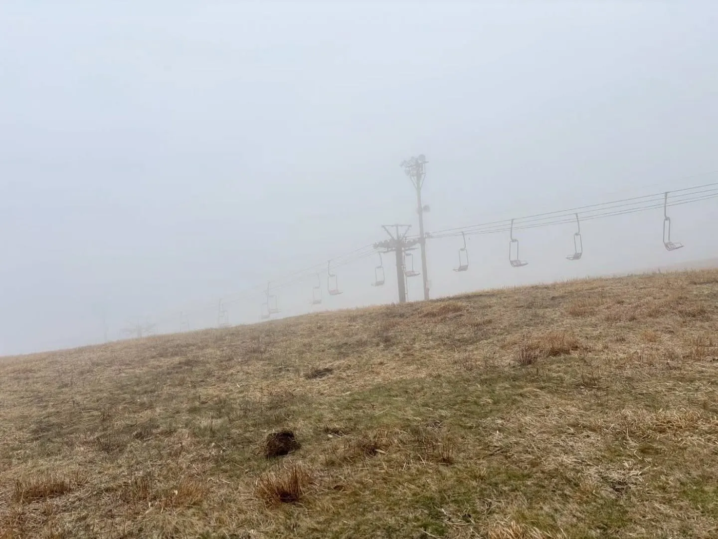 少し前ですが、長野県の霧が峰に行ってきました！