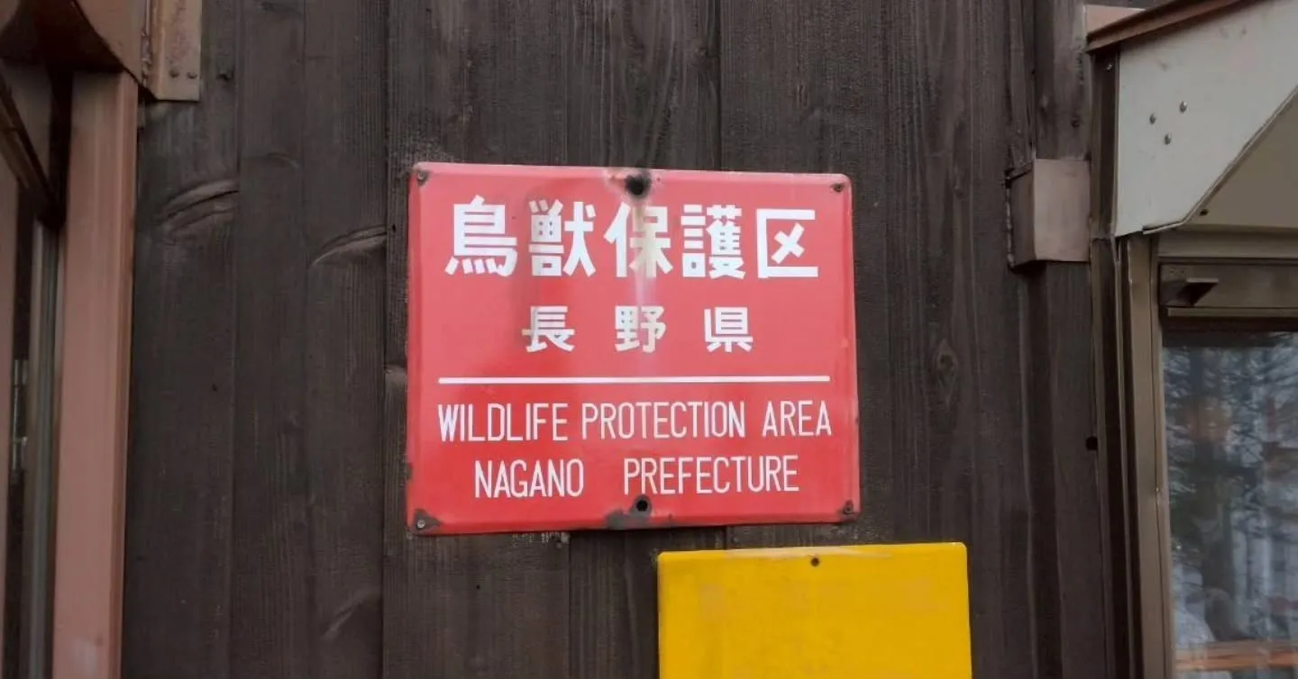 少し前ですが、長野県の霧が峰に行ってきました！