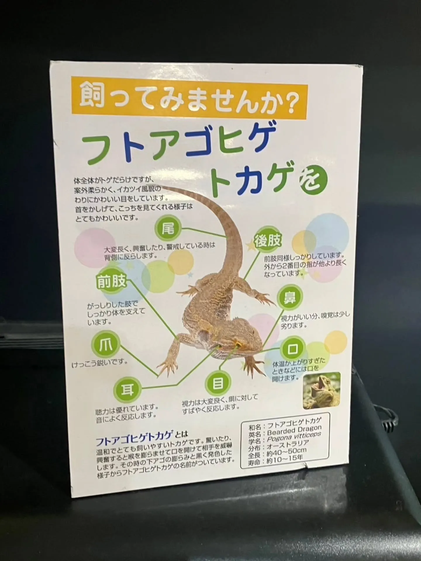 奈良県へ旅行へ行きました🍀
