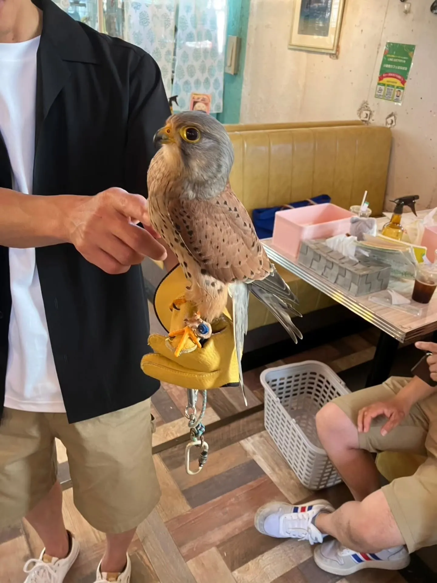 小動物カフェ　はなはなさんへ☺️