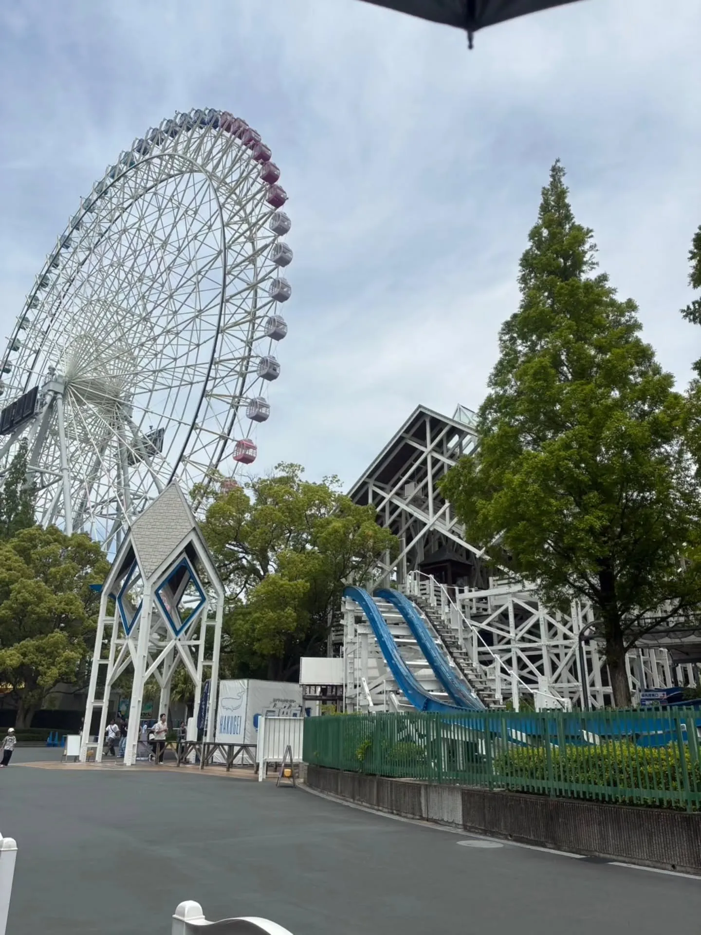 5月生まれの息子の誕生日のリクエストで