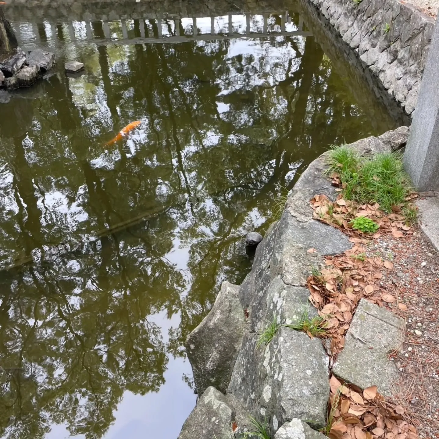 西尾市散策の旅☆