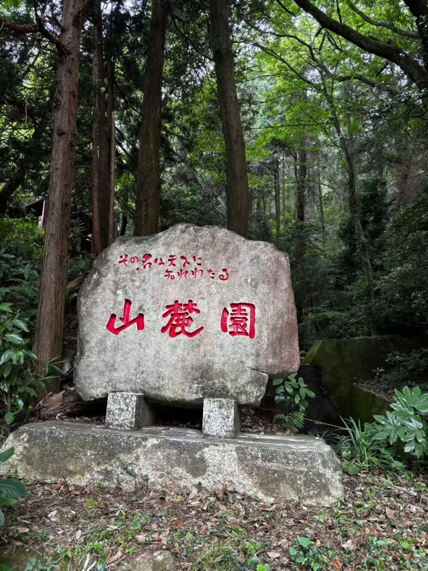 少し前になりますが、蒲郡市にある