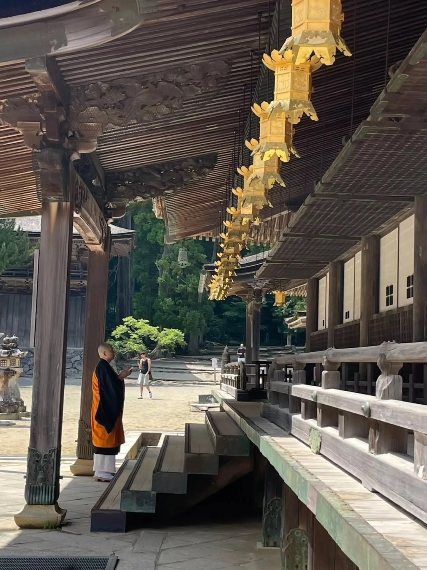 名古屋から近鉄特急「火の鳥🐦‍🔥」とバス🚌で日帰りツアーで高...