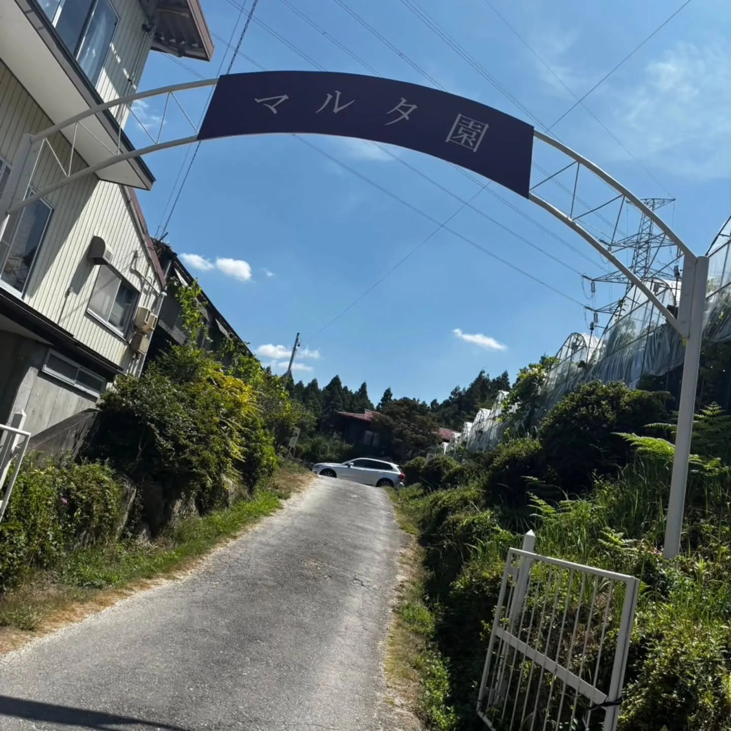 先日、岡崎市にある