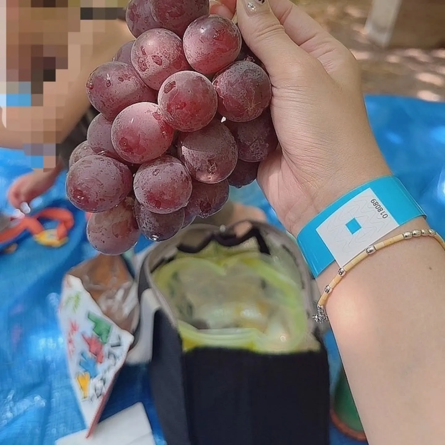 先日、岡崎市にある