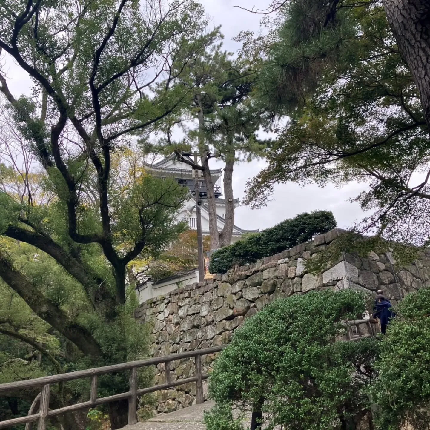 岡崎市は岡﨑城のすぐ横にある菅生神社へ⛩️