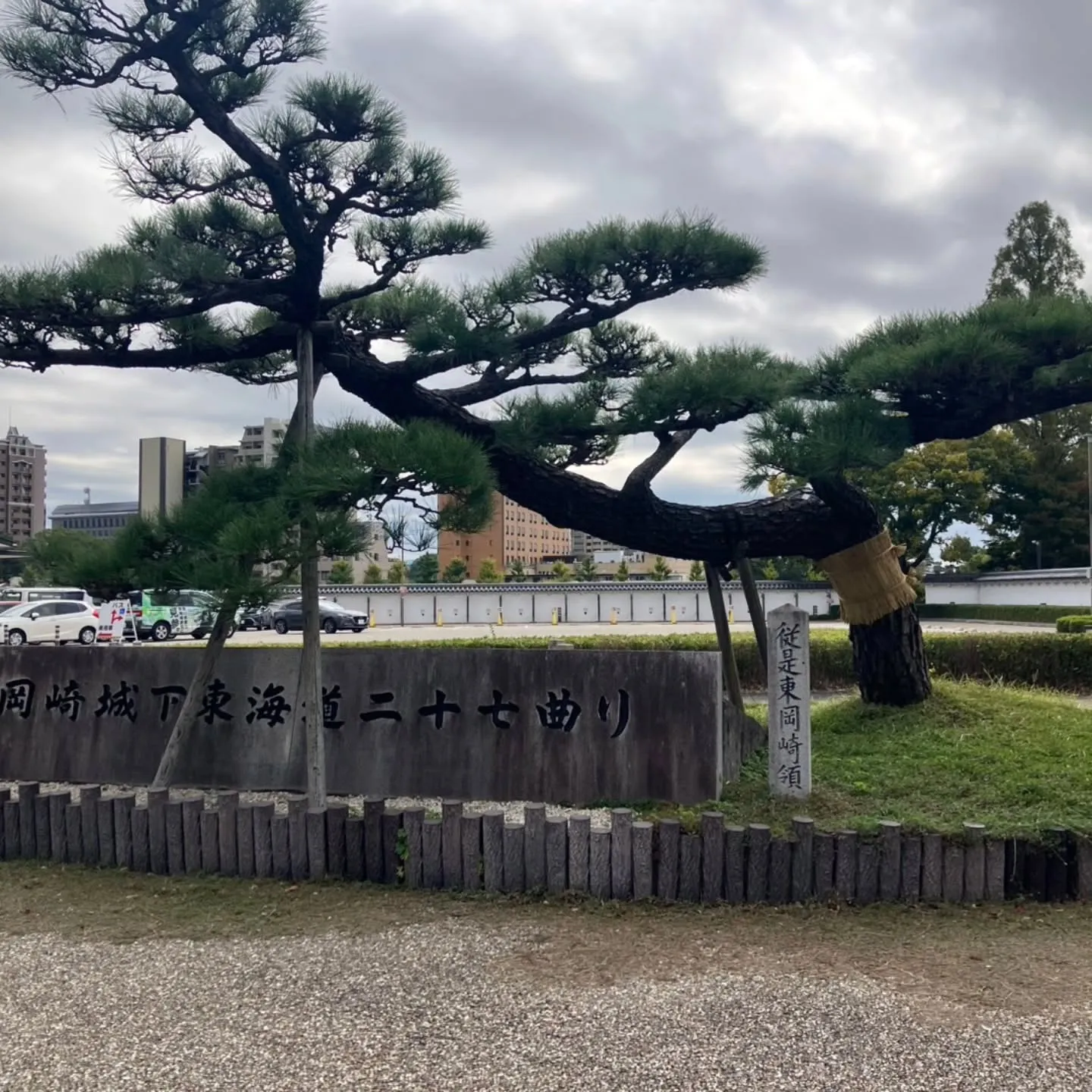 岡崎市は岡﨑城のすぐ横にある菅生神社へ⛩️