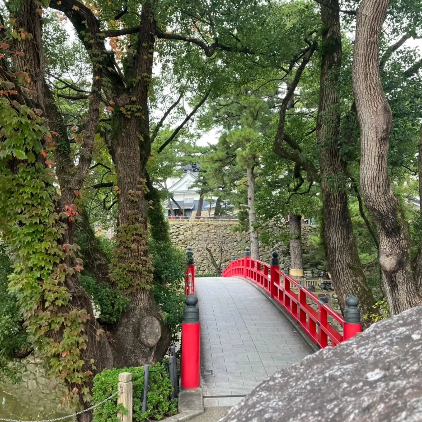 岡崎市は岡﨑城のすぐ横にある菅生神社へ⛩️
