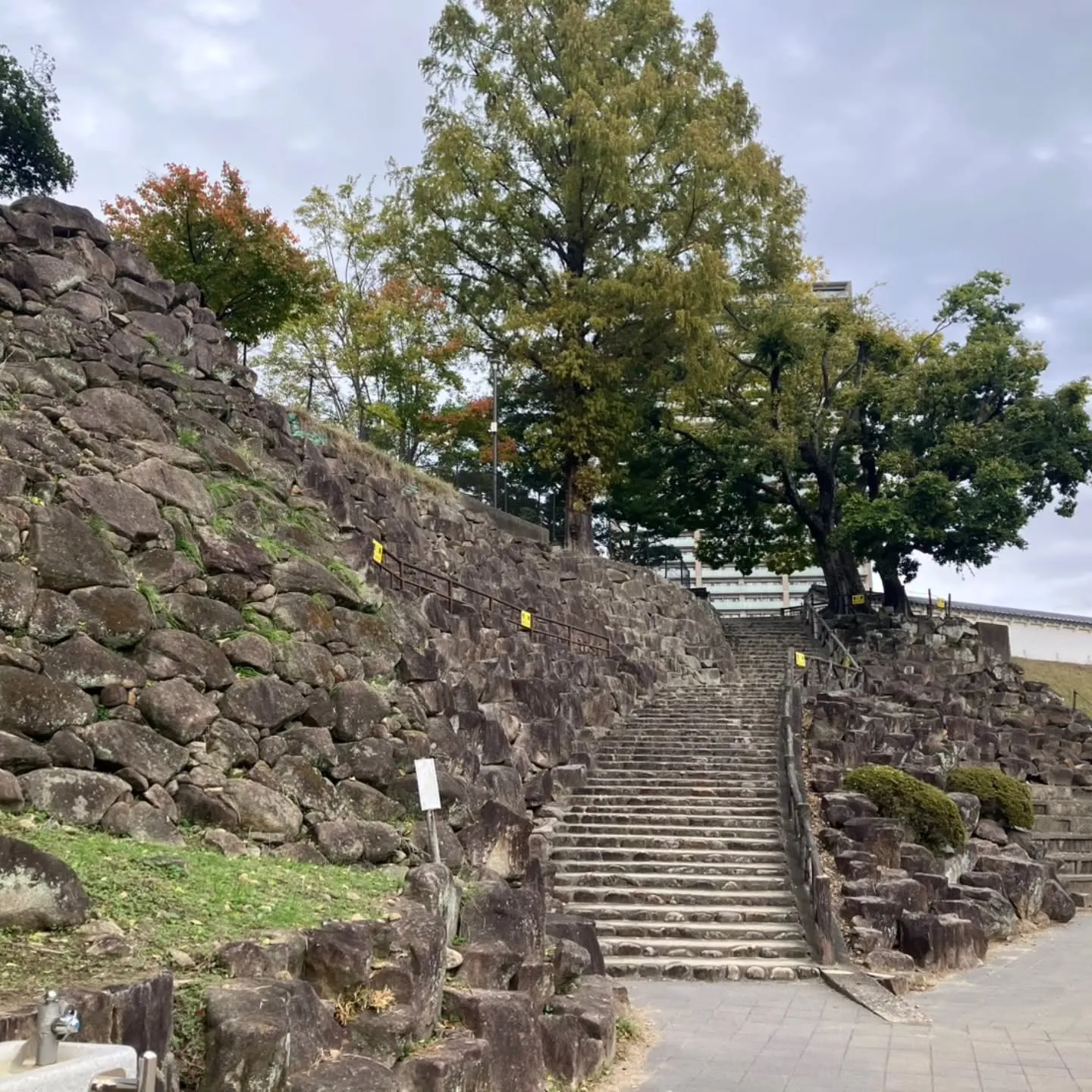 岡崎市は岡﨑城のすぐ横にある菅生神社へ⛩️
