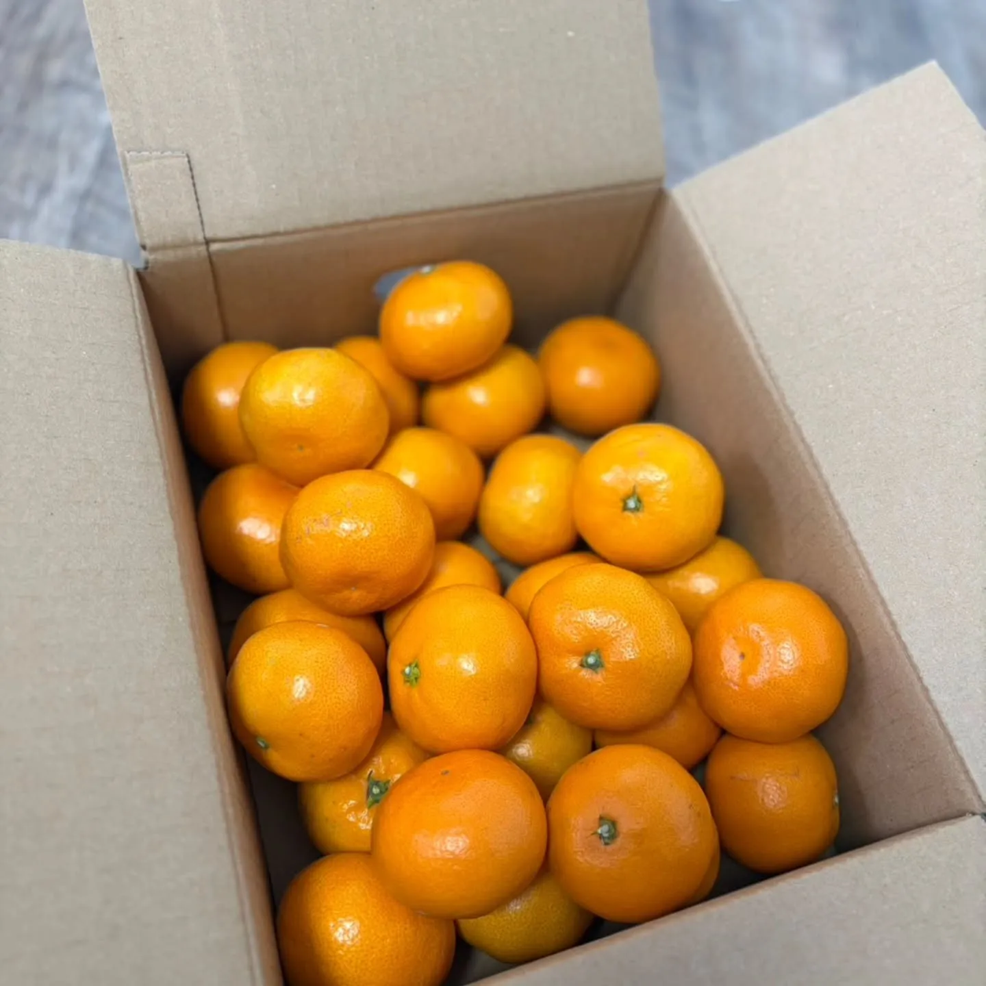 皆様、お久しぶりです！