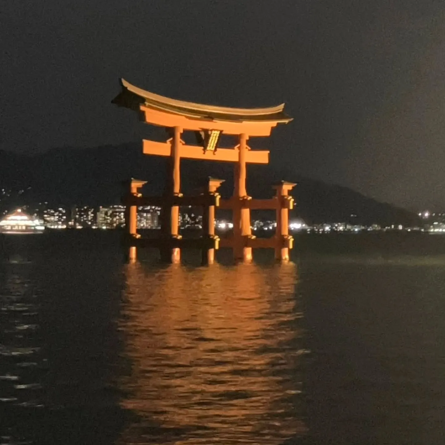 実家に帰省してきました☺️