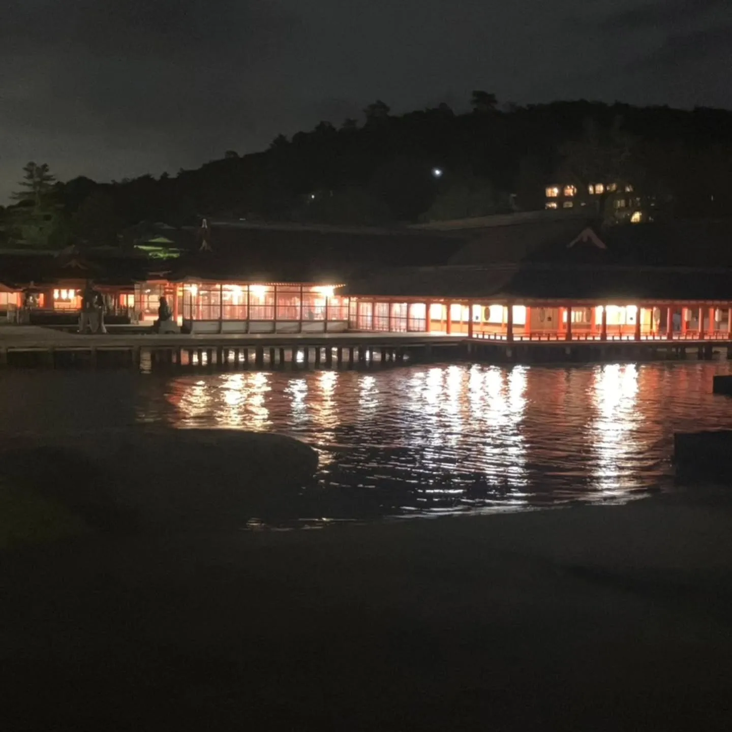 実家に帰省してきました☺️