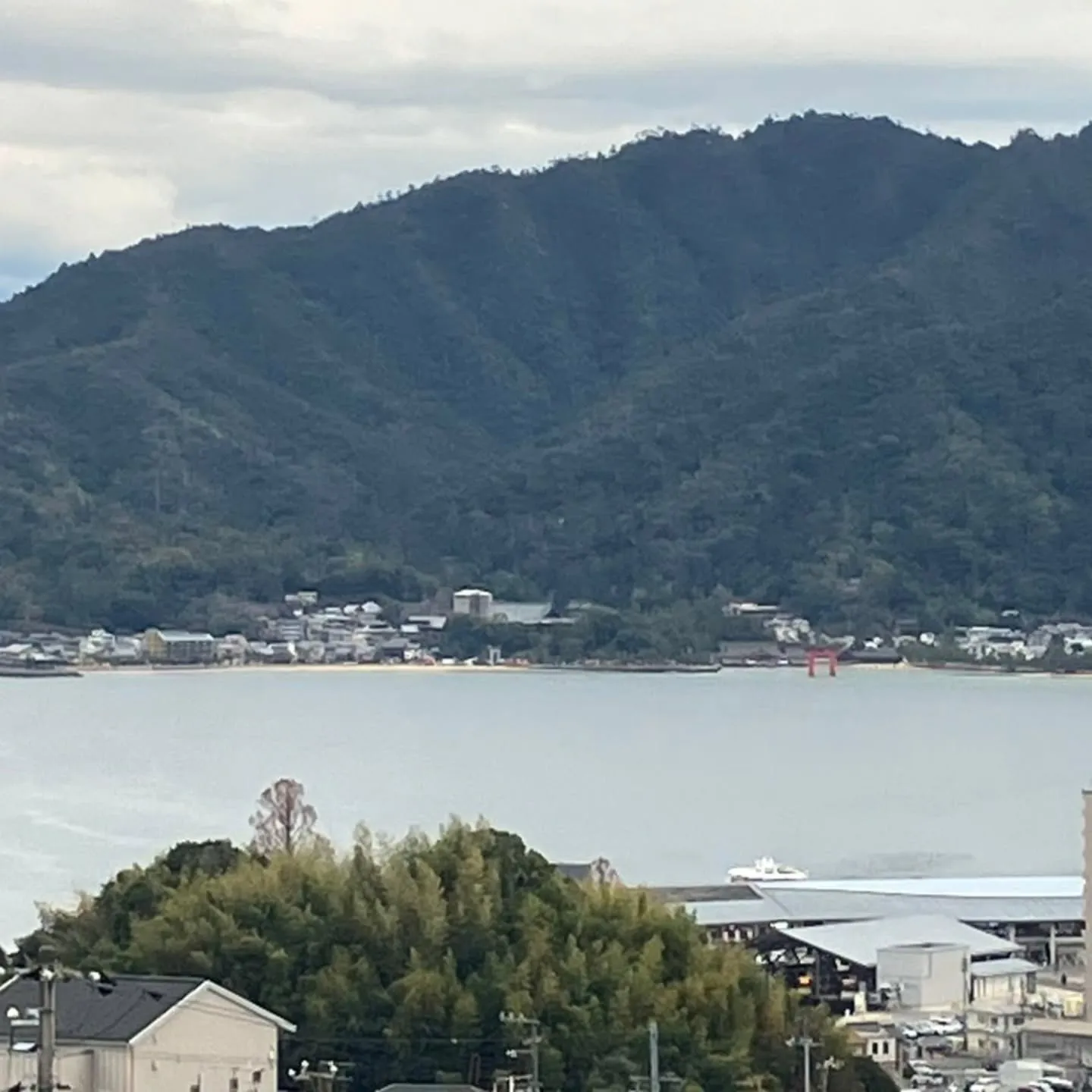 実家に帰省してきました☺️