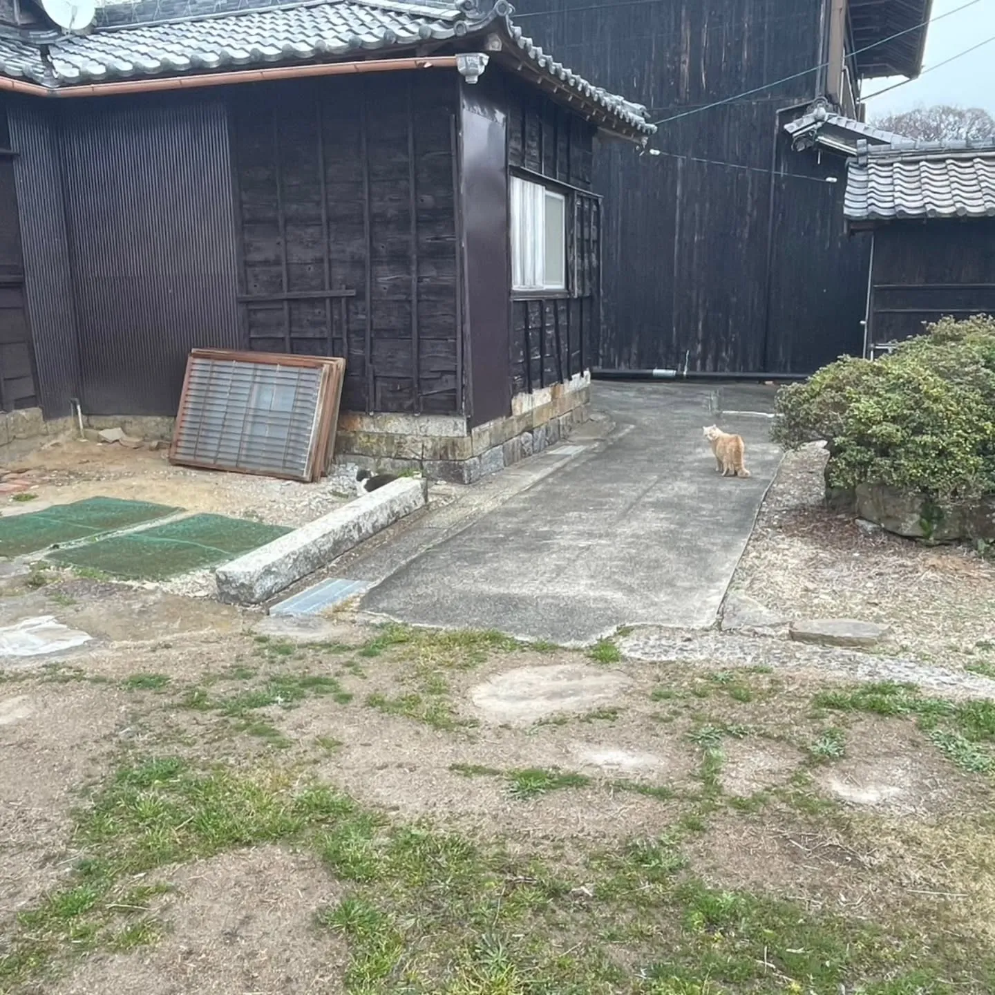 西尾市散策の旅☆