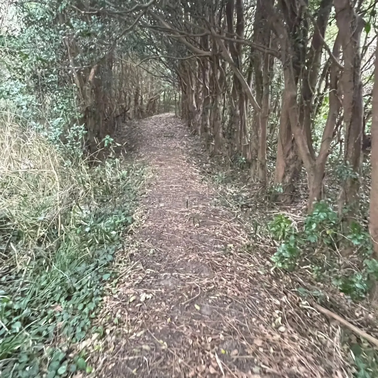 西尾市散策の旅☆