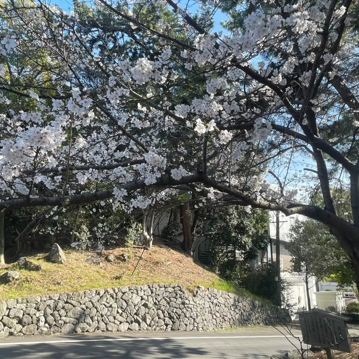 西尾市散策の旅☆