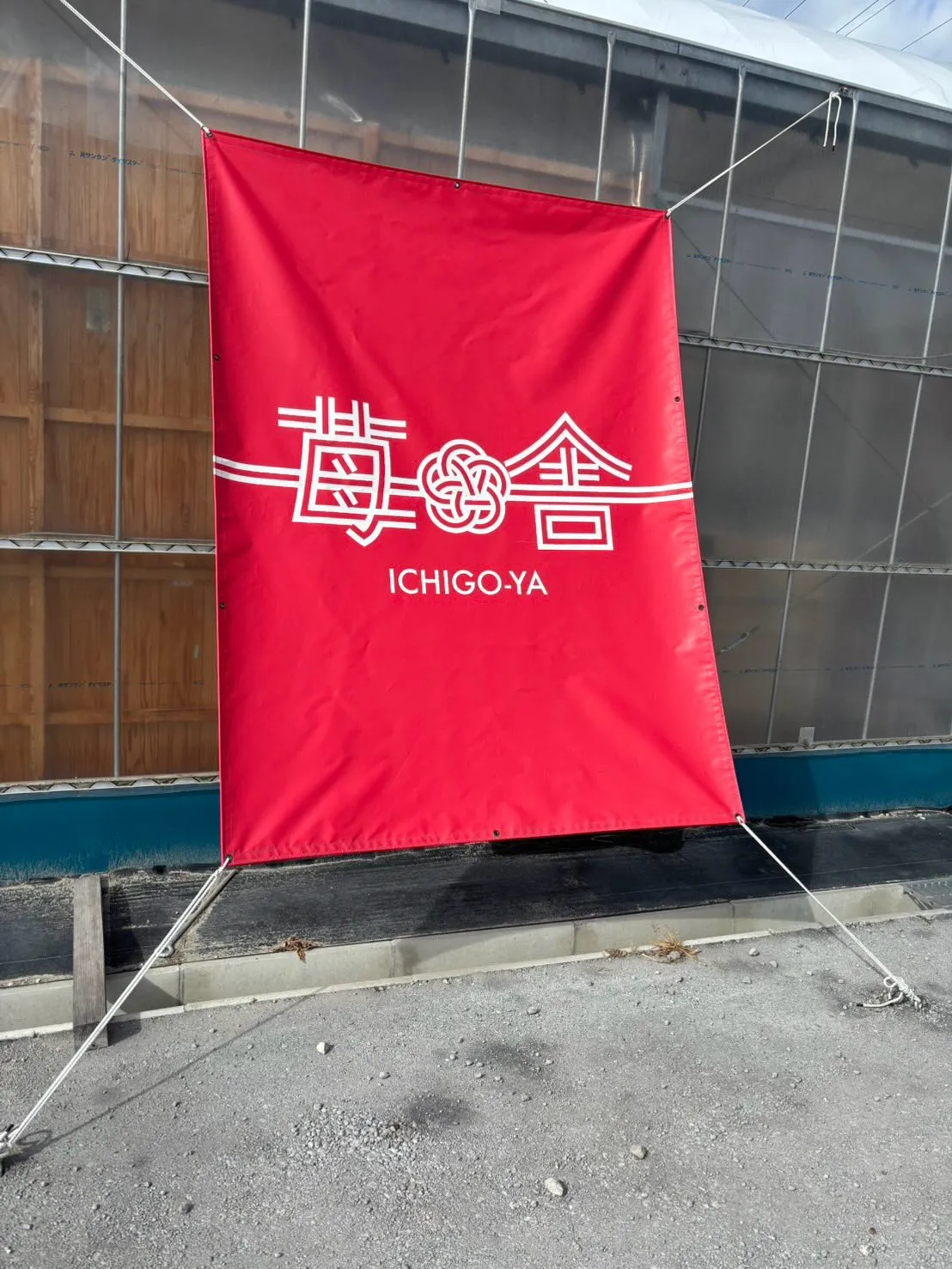 時差投稿にはなりますが