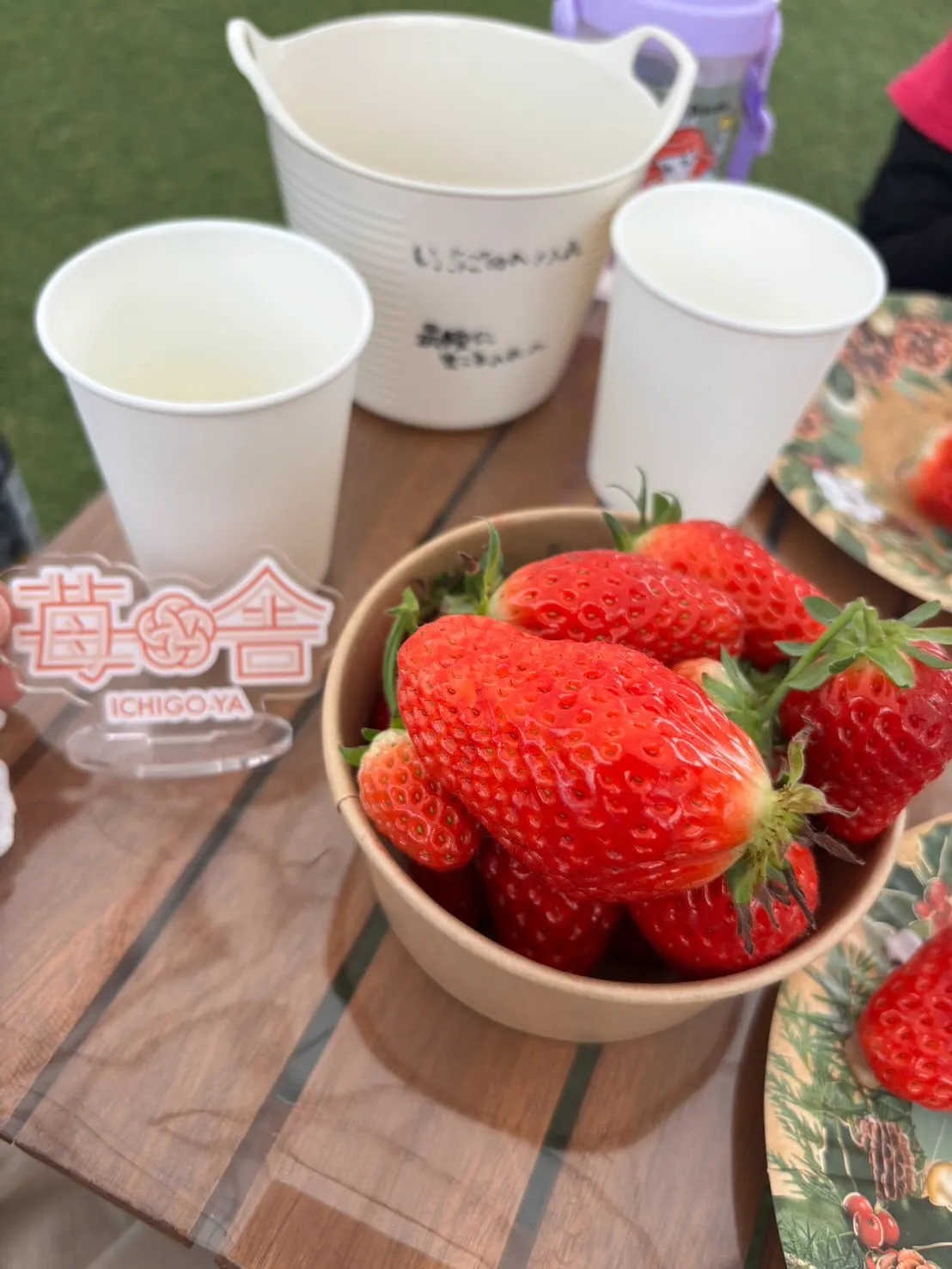 時差投稿にはなりますが