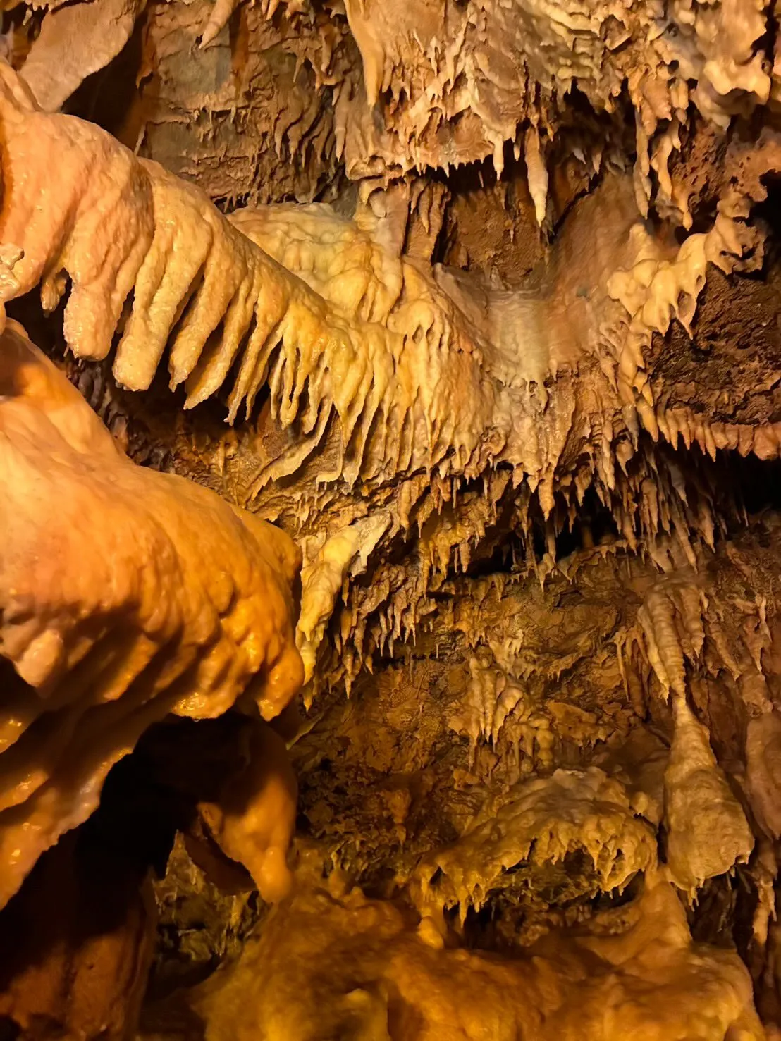 静岡県浜松市にある