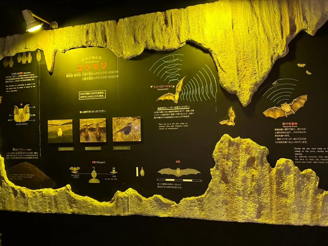 静岡県浜松市にある