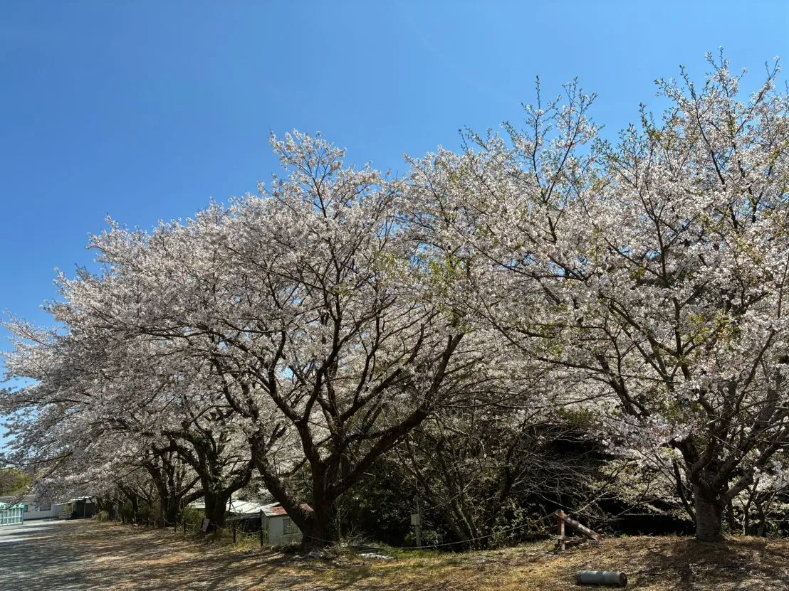 静岡県浜松市にある