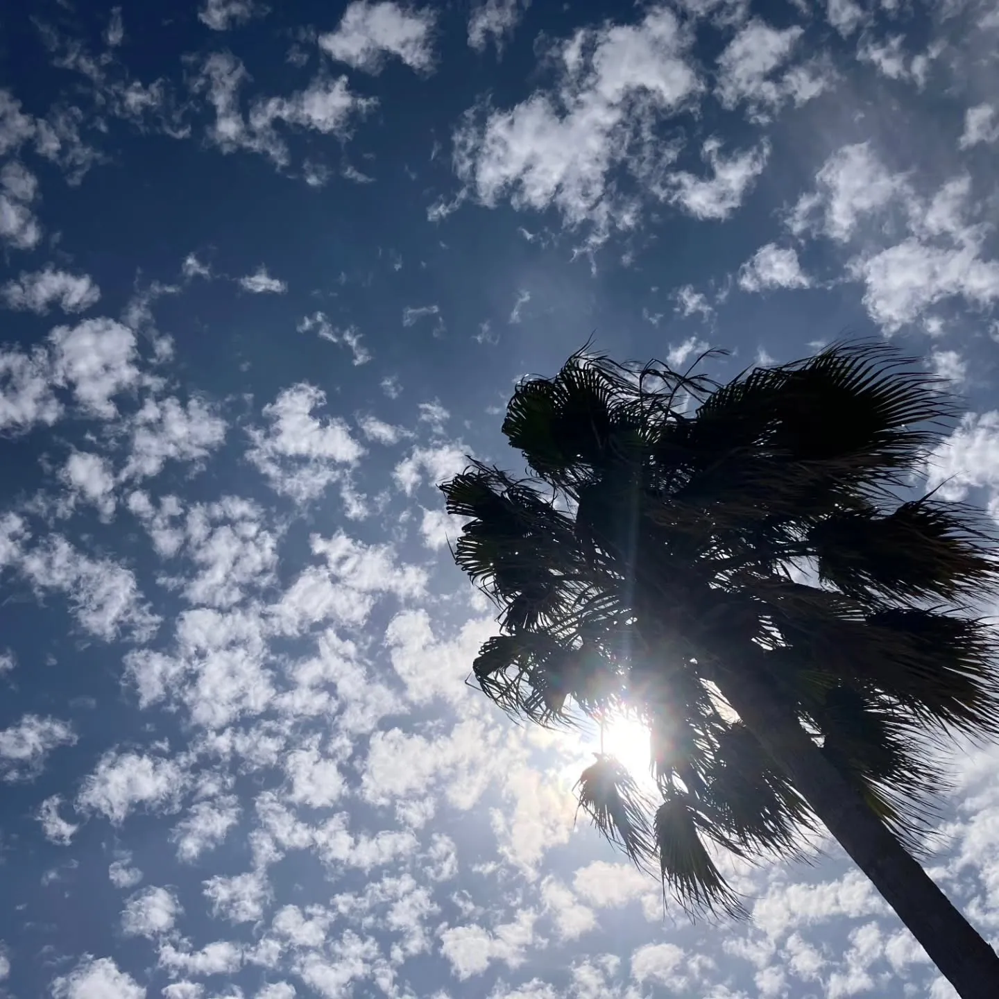 西尾のハワイ😆吉良ワイキキビーチにあるザ・アイランドへ🍴