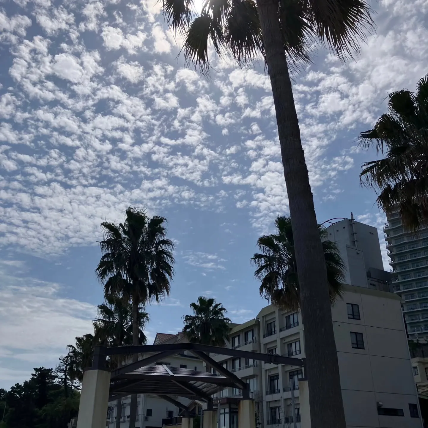 西尾のハワイ😆吉良ワイキキビーチにあるザ・アイランドへ🍴