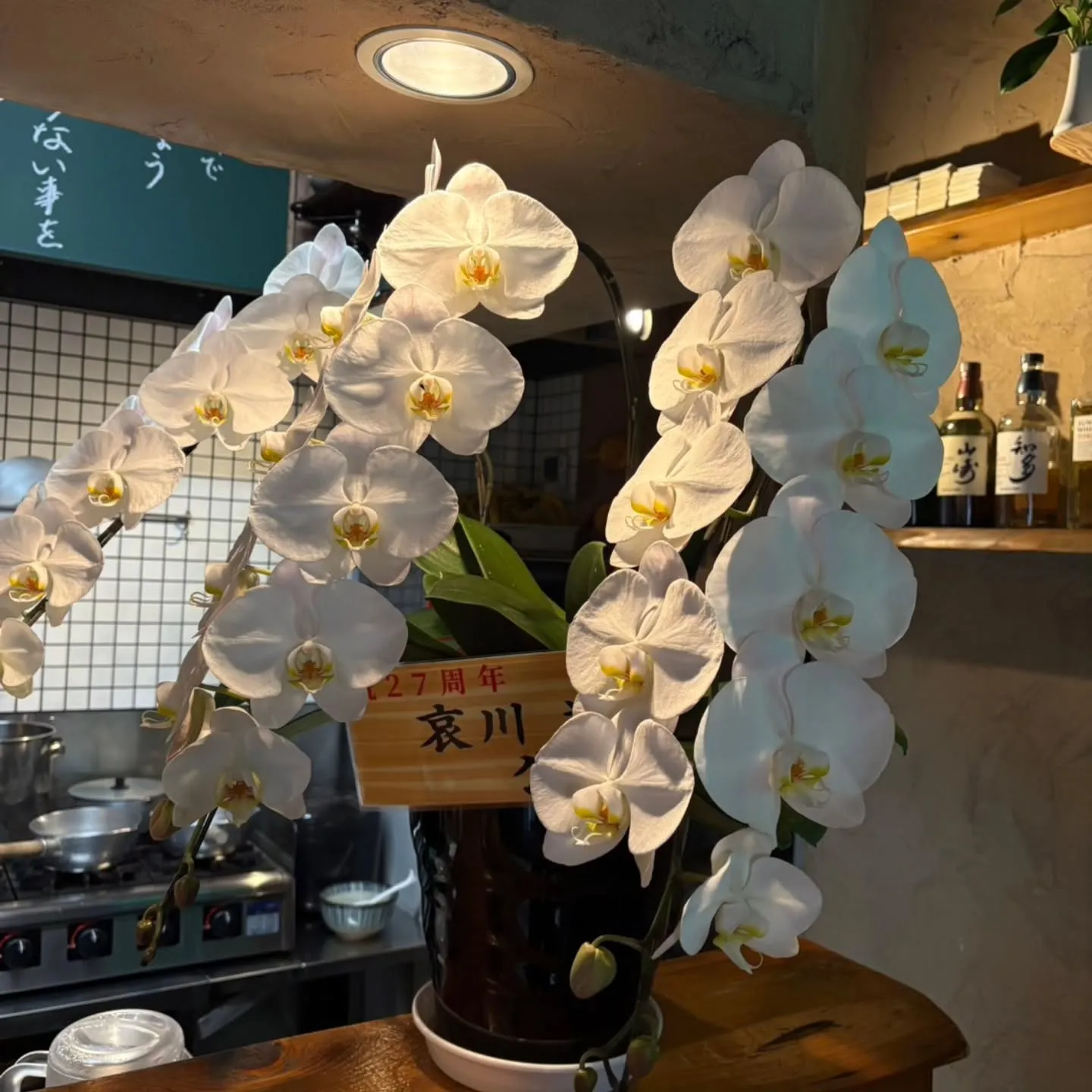 23号バイパス野田インター降りてすぐ、東刈谷のカレーうどんあ...