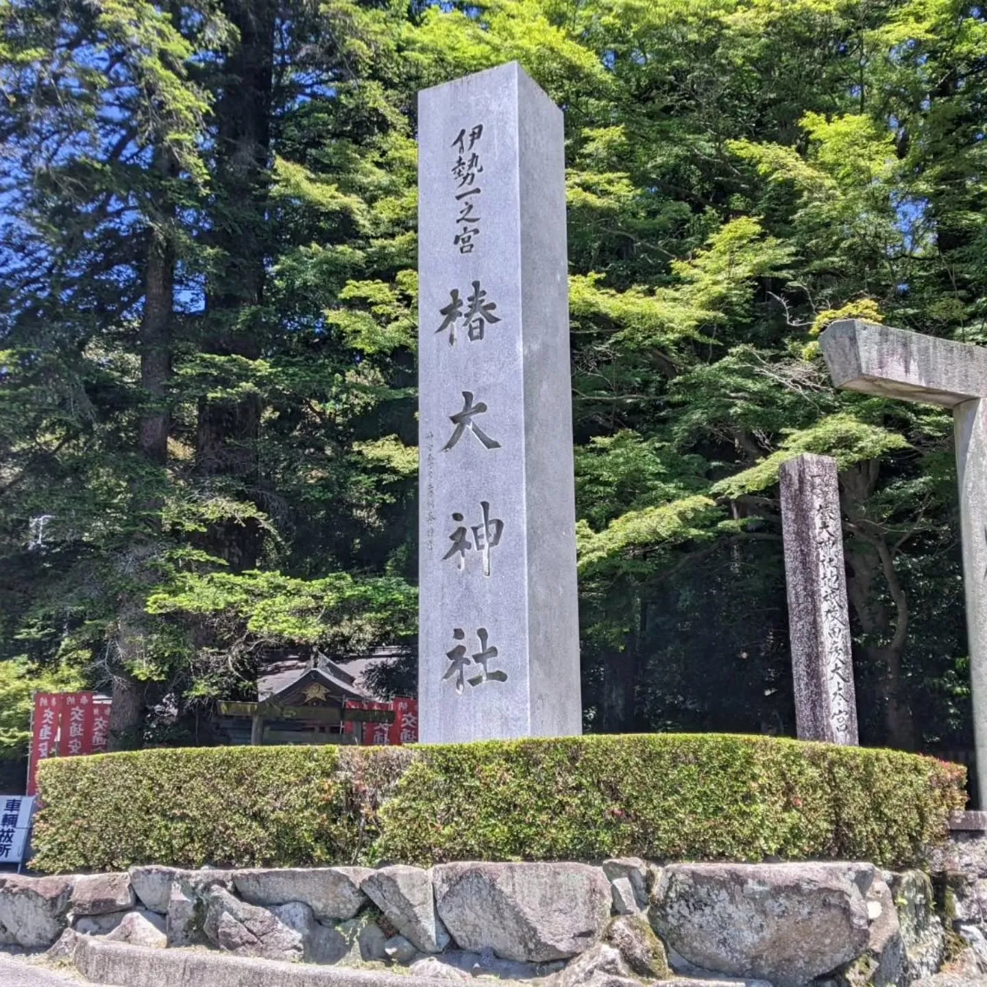 三重県鈴鹿市の椿大神社に椿まいりへ⛩️