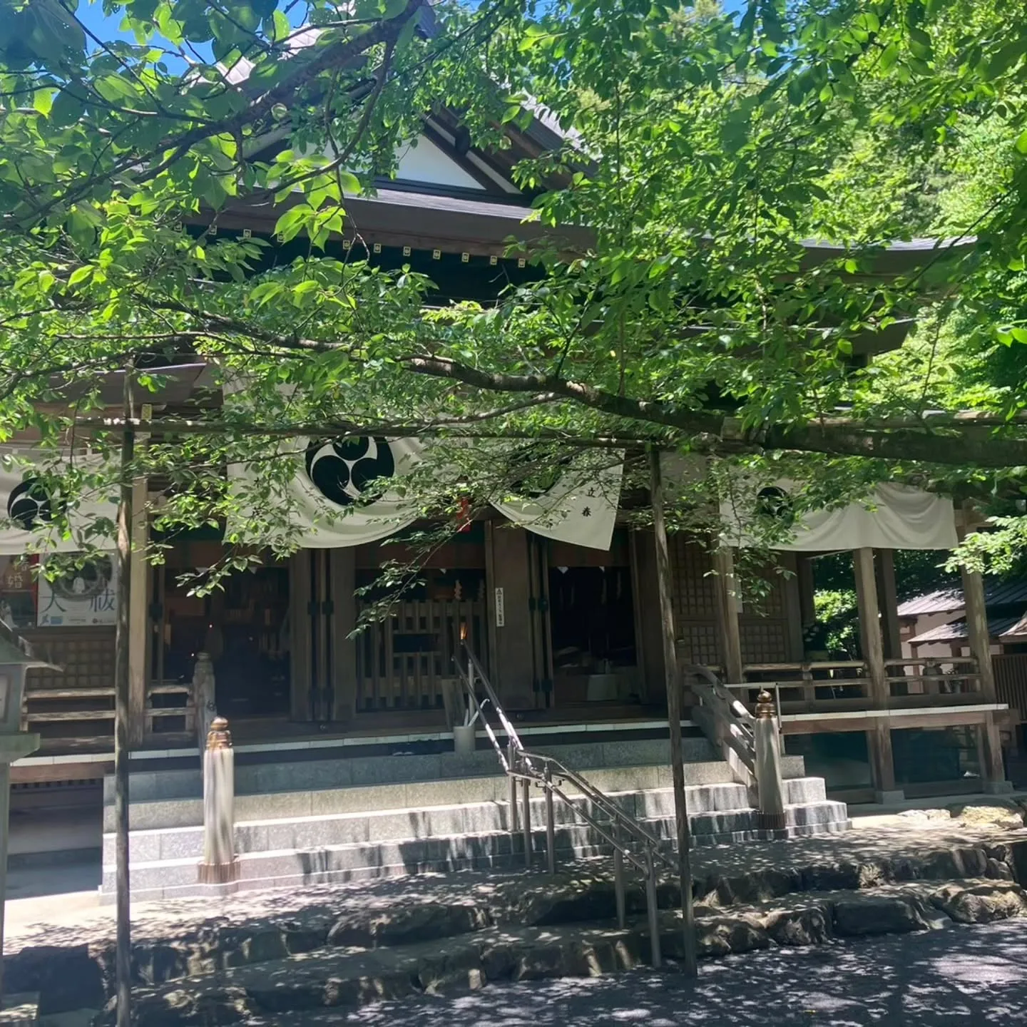 三重県鈴鹿市の椿大神社に椿まいりへ⛩️