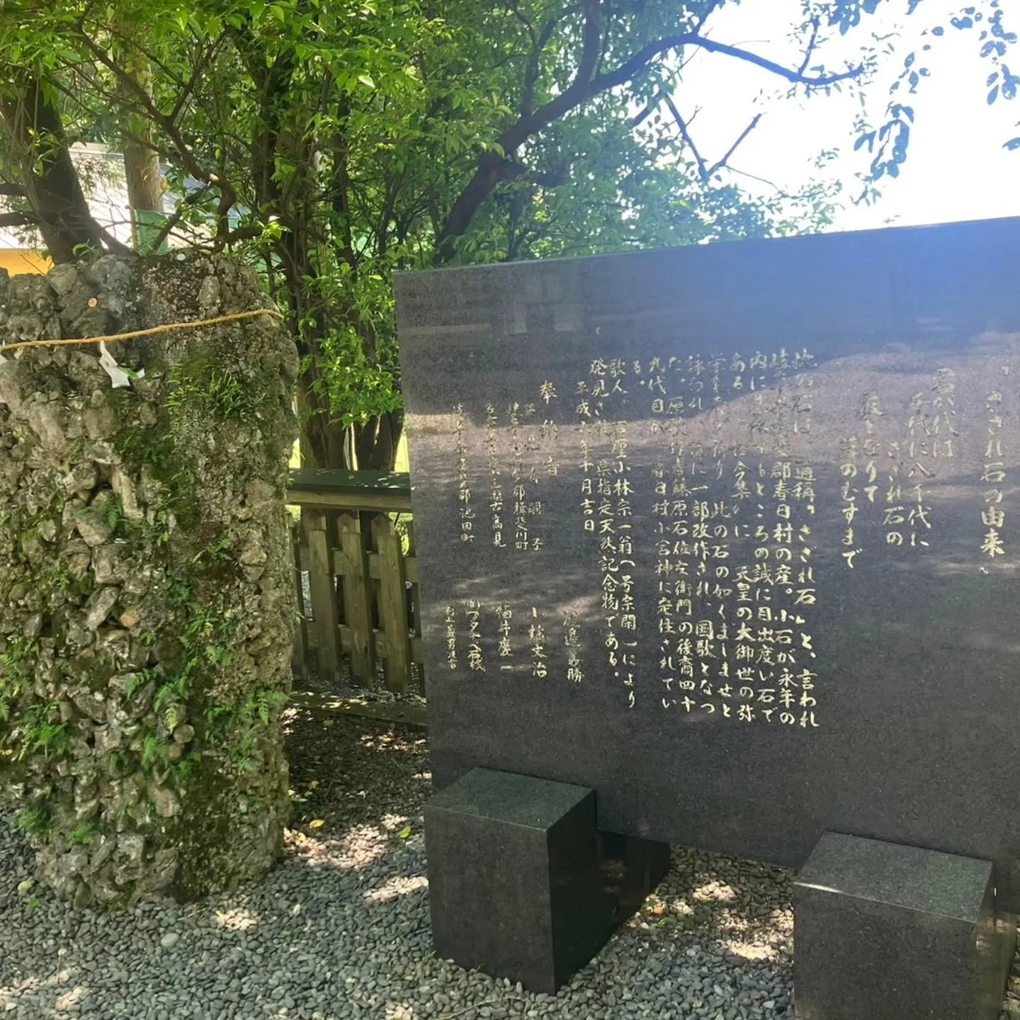 三重県鈴鹿市の椿大神社に椿まいりへ⛩️
