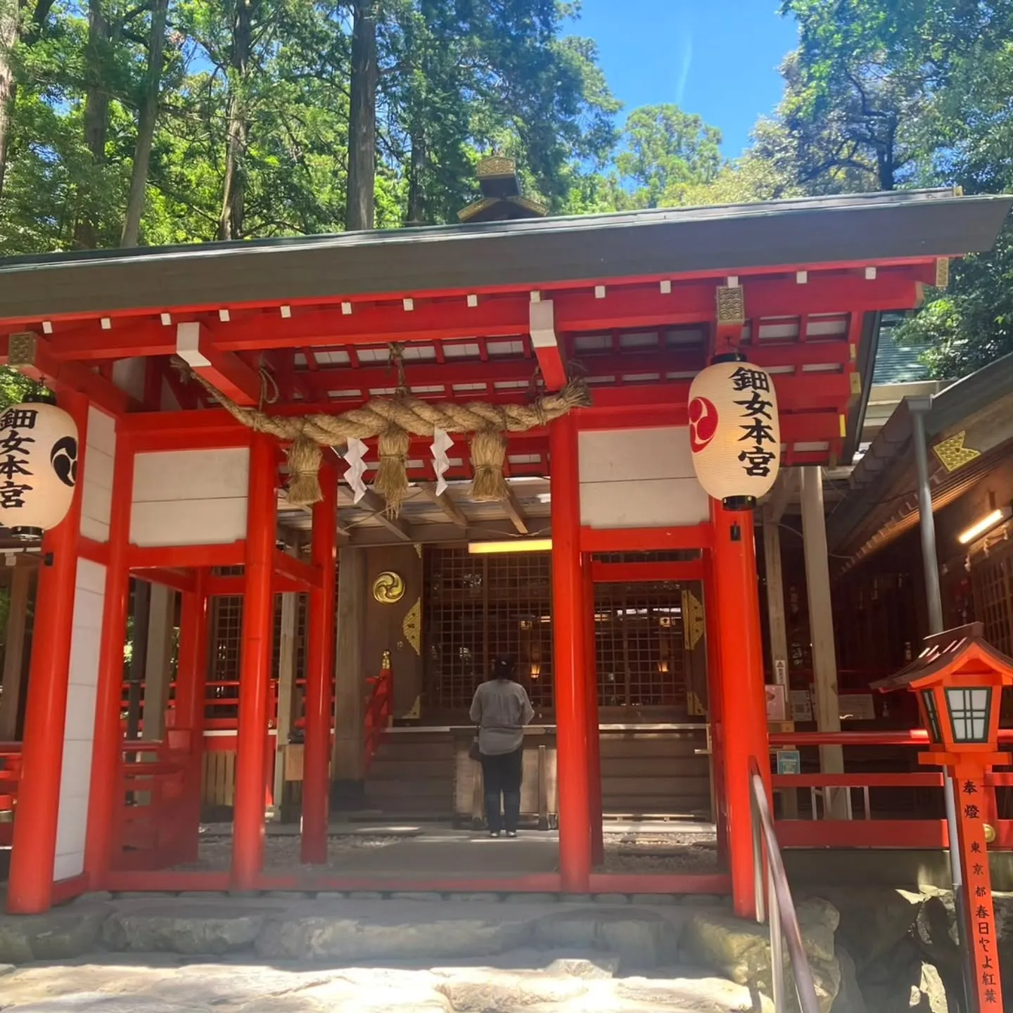 三重県鈴鹿市の椿大神社に椿まいりへ⛩️