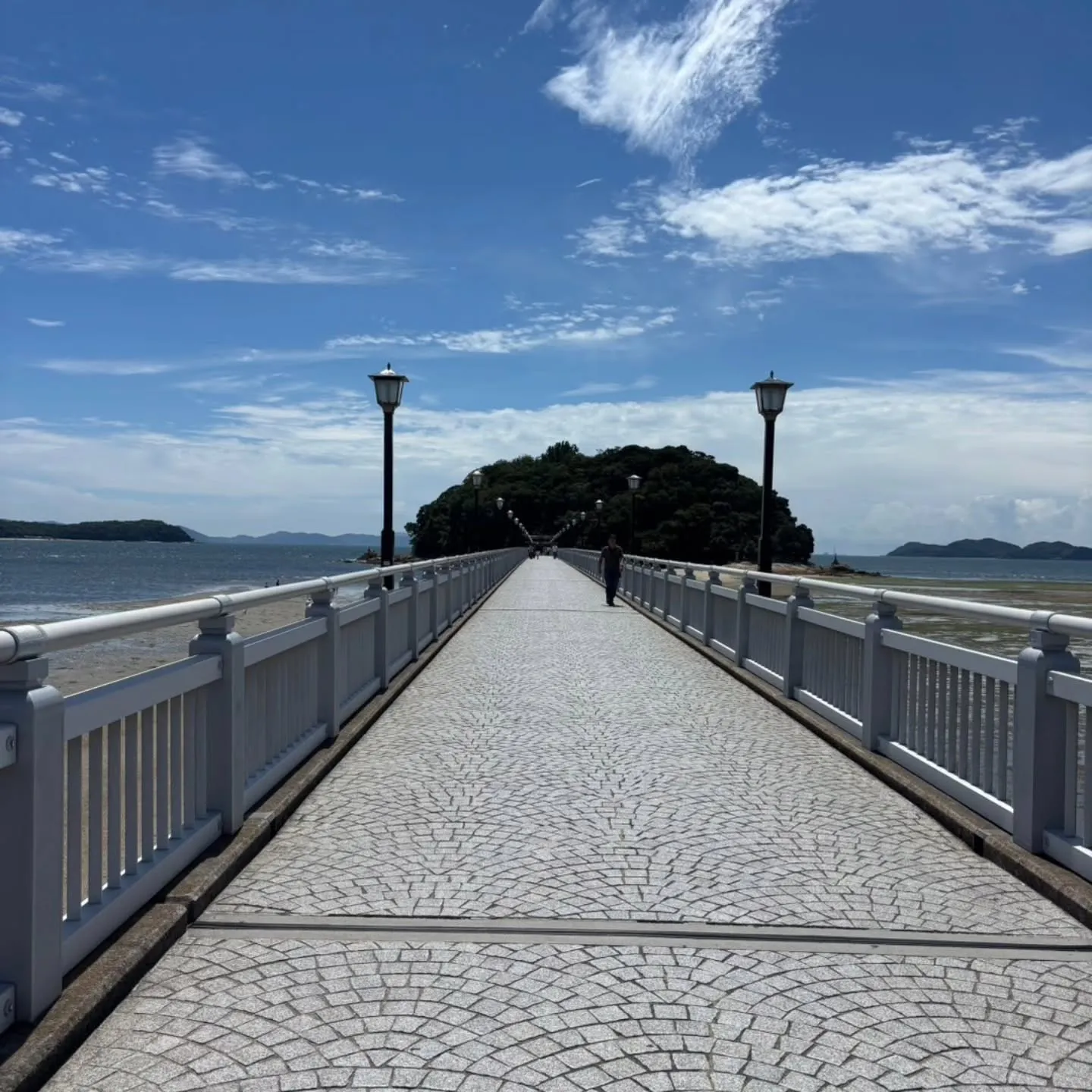 蒲郡の竹島近くにある、手打ちうどんやをよし☺️
